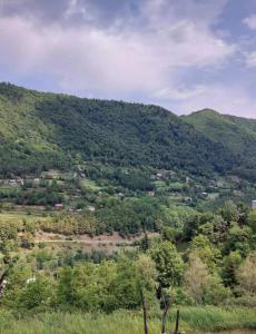 Paesaggio naturale nelle vicinanze della stanza in casa privata