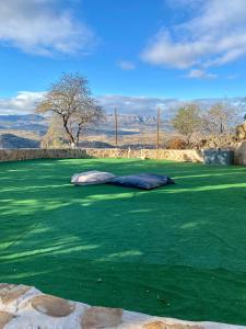 dwie poduszki leżą na zielonym polu w obiekcie La Tahona (Cortijo Andaluz en las montañas) w mieście Almogía