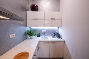 Kuchyň nebo kuchyňský kout v ubytování Modern Downtown APT - renovated, on ideal location