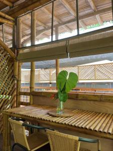 une table avec deux chaises et un vase avec une plante dans l'établissement Oasis Santuario de Naturaleza, à Ibagué