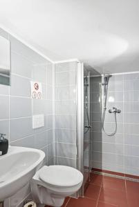 a bathroom with a toilet and a sink and a shower at Landhaus Kaiserpfalz #2 bis 10P in Memleben
