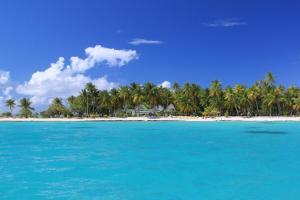 a view of a beach with palm trees and blue water at Fafarua Ile Privée Private Island in Tikehau