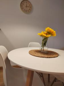 Fotografie z fotogalerie ubytování Yellow Gate v destinaci Novi Grad + 13 fotografií