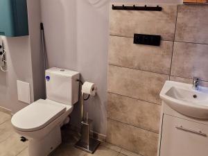 a bathroom with a toilet and a sink at Apartamenty Toskania No.4 Jacuzzi & Sauna in Poznań