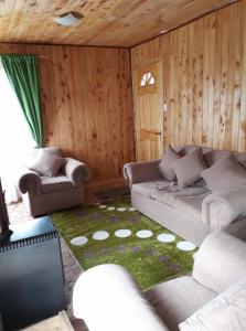 sala de estar con sofá y alfombra verde en Cabañas Amanecer, en Riñinahue