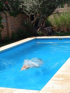 a person in a swimming pool in a blue pool at Casa Los Trinos in Lobos