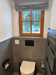 a bathroom with a toilet and a window at Haus Drescher in Leutasch
