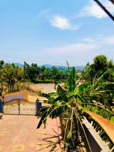 uma palmeira em frente a uma cerca em COORG STONE VILLA em Madikeri