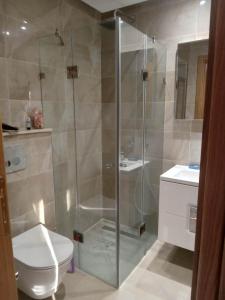 a bathroom with a shower with a toilet and a sink at Appartement near the sea in La Goulette