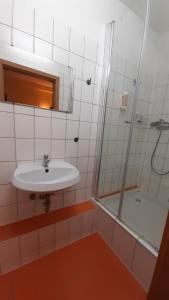 a bathroom with a sink and a shower at Gästehaus Zu Herrenwiesen in Heidelberg