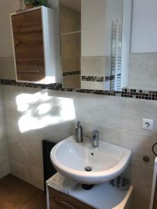 bagno con lavandino bianco e specchio di Reiterhof Kronwitter a Mainbernheim
