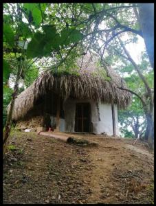 a small hut with a grass roof on a hill at Exclusive EcoHouse & SeaView in Palomino