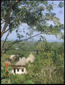 una casa en medio de un campo con árboles en Exclusive EcoHouse & SeaView, en Palomino