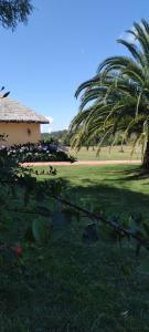 un champ planté de palmiers, une maison et un étang dans l'établissement Casa 2 dormitorios en complejo cerrado-Punta Ballena, à Punta del Este