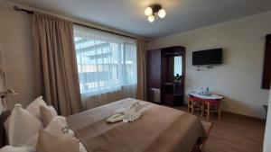 a hotel room with a bed and a window at Vila Ana-Maria in Sinaia