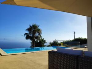 a swimming pool with a palm tree in the background at 17 ° West, Lux. Inf. Pool villa, 5 minutes to the sandy beach, WiFi in Estreito da Calheta