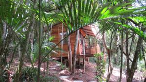 a wooden cabin in the middle of trees at Cabanas sítio Ancestral in Morretes