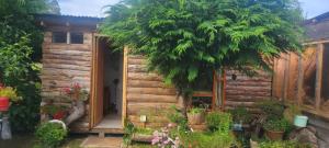 En have udenfor Pieza y estacionamiento independiente