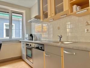uma cozinha com um lavatório e um fogão em City Apartment Sankt Pölten em Sankt Pölten