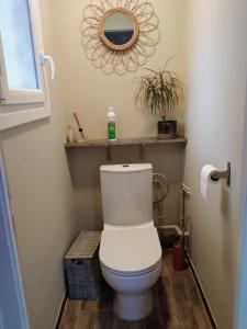 W łazience znajduje się biała toaleta z lustrem. w obiekcie Gure Doya w mieście Billère
