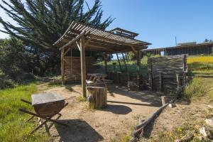 Κήπος έξω από το Olas de Chile Ecocamp +18 φωτογραφίες