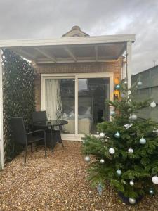 ein Weihnachtsbaum im Hof eines Hauses in der Unterkunft (NEW) Poppy's place - 10 minute drive from York in Skelton