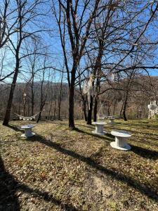 three picnic tables in a park with trees at Casale Cipriani in Casalciprano