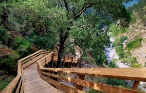 a wooden boardwalk with a tree on a mountain at Casa do Tanque in Arouca