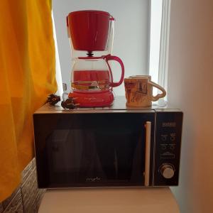 a red blender sitting on top of a microwave at Dayana Home in Râmnicu Vâlcea