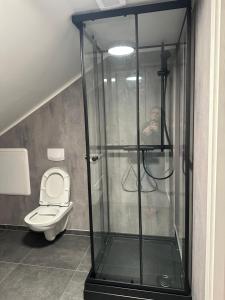a man in a shower in a bathroom with a toilet at Arctic Loft in Skjervøy +39 photos