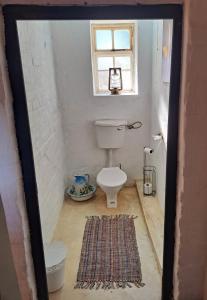 a bathroom with a toilet and a window at Goedgeloof Farm Stay in Barrydale