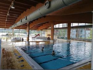 une grande piscine avec 2 personnes dans l'eau dans l'établissement Molo Lipno resort luxusní apartmán 4kk, à Český Krumlov