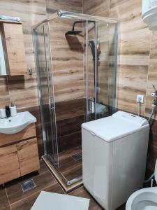 Phòng tắm tại Apartman Divčibarska jela +8 ảnh