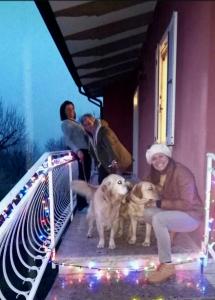 un groupe de personnes assises sur une terrasse couverte avec deux chiens dans l'établissement Pace, Luminosità e Comodità a due passi dal Garda, à Volta Mantovana