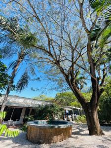 Zahrada ubytování Spinoza Hotel Los Pargos Playa Negra