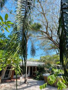 a house with a palm tree in front of it at Private Room Playa Negra in Playa Negra