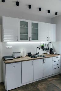 een keuken met witte kasten en een spoelbak bij Dream House in Vršac +32 foto's