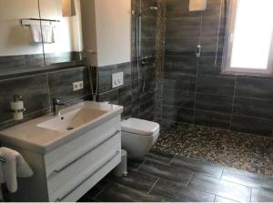 a bathroom with a sink and a toilet and a shower at Schönes Apartment im Dreiländereck in Bad Bellingen