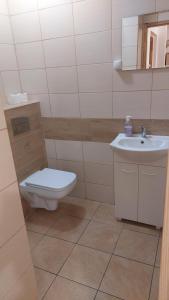 uma casa de banho com um WC e um lavatório em Dom Wczasowy Skałka em Żabnica
