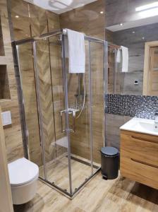 a bathroom with a shower with a toilet and a sink at Tyrolska Chata in Świeradów-Zdrój