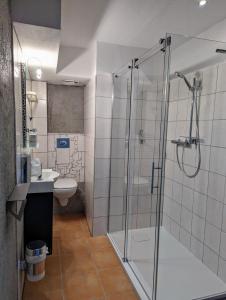 ein Bad mit einer Dusche, einem WC und einem Waschbecken in der Unterkunft Pension Am Waldrand in Mosbach