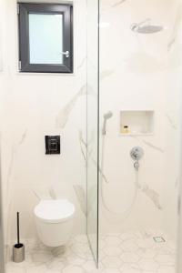a bathroom with a shower and a toilet at Luxury rooms 12-1 in Plovdiv