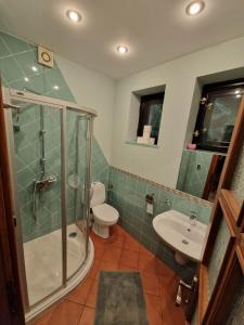 a bathroom with a shower and a toilet and a sink at Villa Falsztyn Holiday Home in Falsztyn