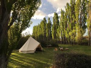ein weißes Zelt auf einem Feld mit Bäumen in der Unterkunft Estancia Santa Thelma in Gobernador Gregores