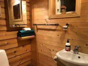 Łazienka z drewnianymi ścianami, umywalką i lustrem w obiekcie Cozy Cabin in Stockholms Archipelago w mieście Ingmarsö