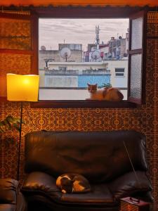 Gallery image of Authentic cozy stay with a local next to Tramway in Salé