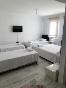 Zimmer mit 3 Betten und einem Flachbild-TV in der Unterkunft EDİRNE GUEST HOME HOSTEL in Edirne