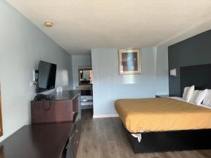 um quarto de hotel com uma cama e uma televisão em Red Carpet Inn & Suites - Danville em Danville