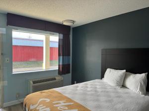 um quarto com uma cama grande e uma janela em Red Carpet Inn & Suites - Danville em Danville