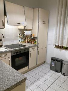 uma cozinha com um lavatório e um fogão forno superior em Adam's Pension em Chemnitz